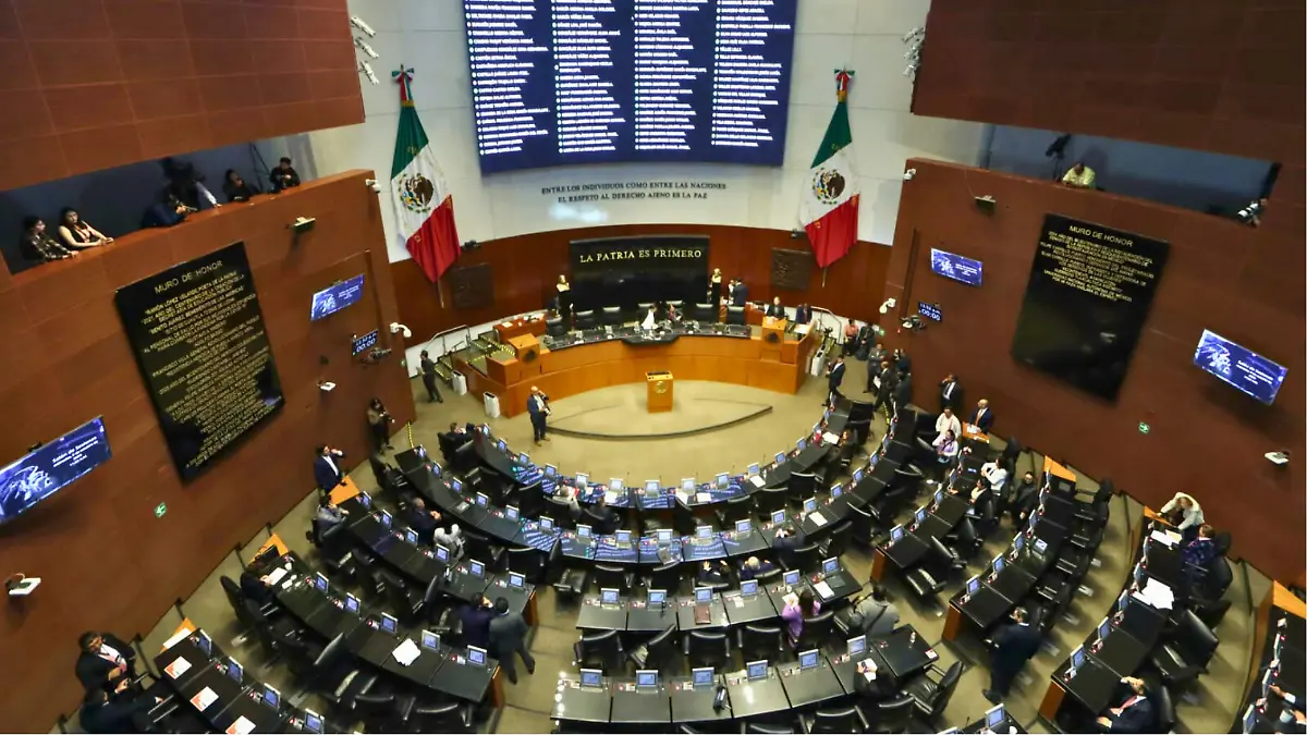 senado de la república_laural